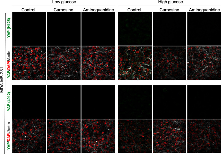 Figure 3—figure supplement 4.