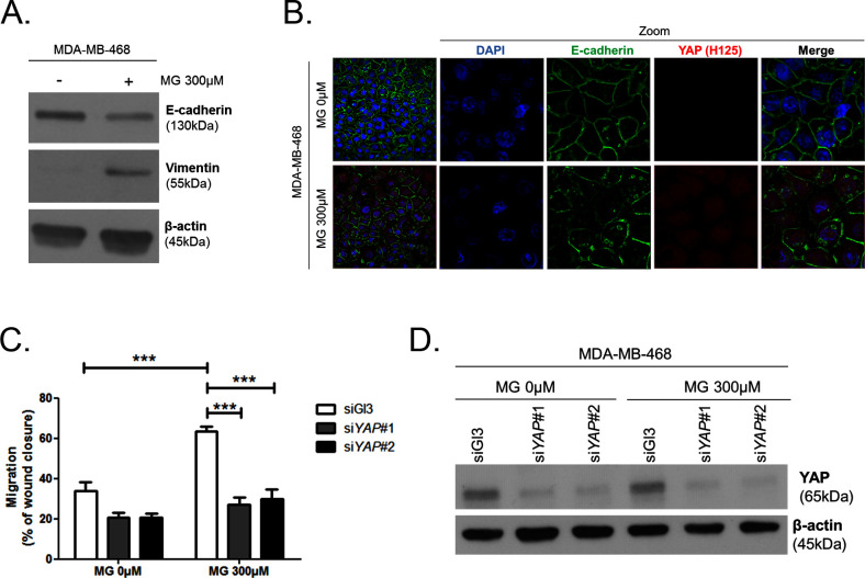 Figure 5—figure supplement 3.