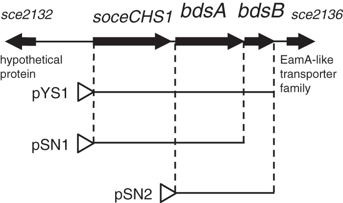 FIG 2