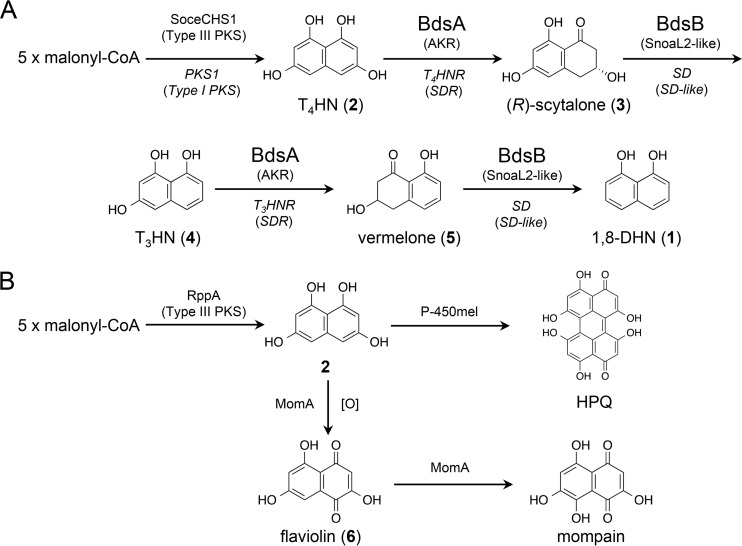 FIG 1