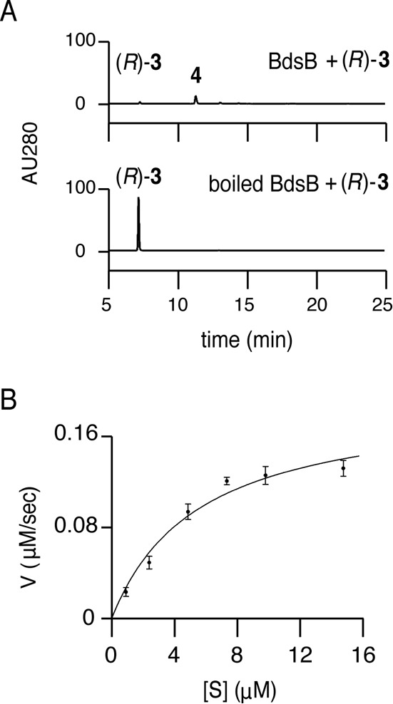 FIG 5