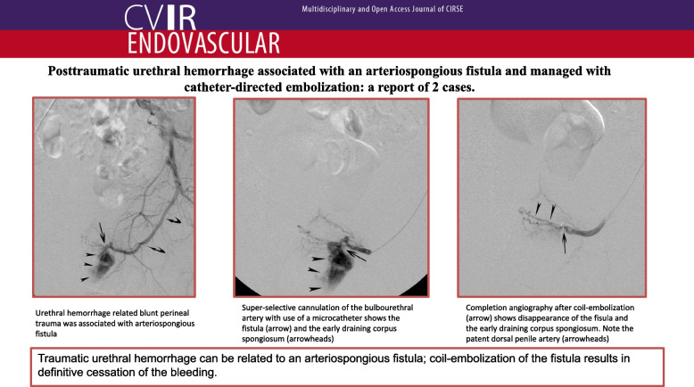 graphic file with name 42155_2025_593_Figa_HTML.jpg