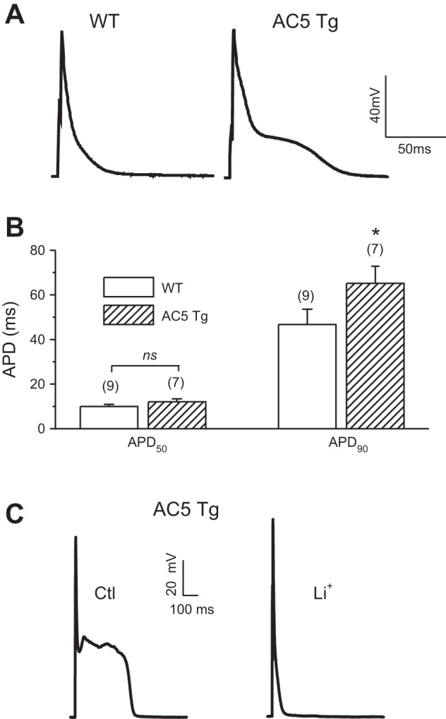 Fig. 1.