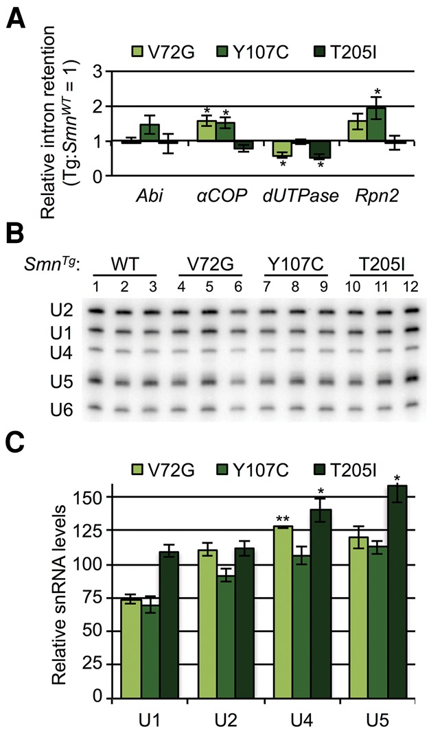 FIGURE 7.