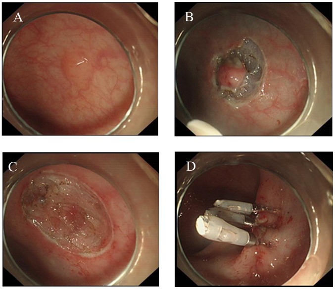 Figure 1.