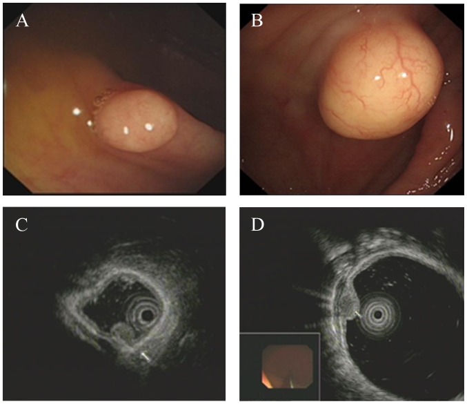 Figure 3.