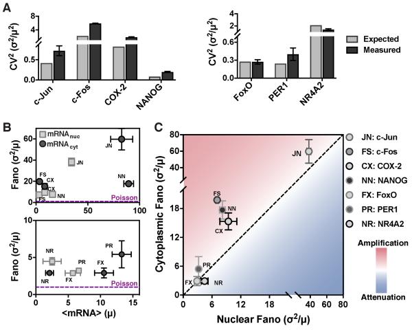 Figure 3: