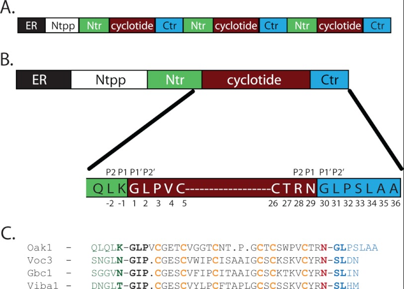 FIGURE 1.