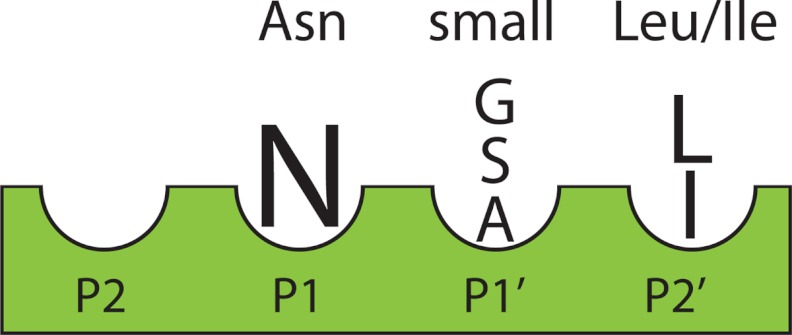 FIGURE 7.