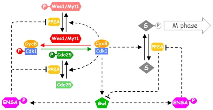 Fig. 1.