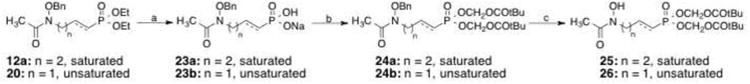 Scheme 4