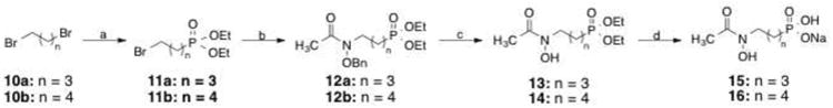 Scheme 2