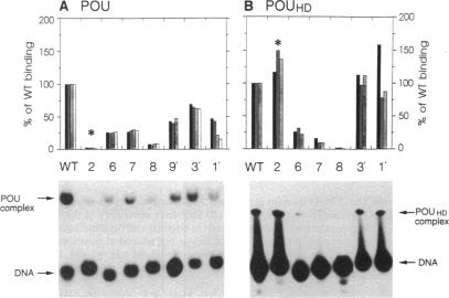 graphic file with name pnas01131-0421-a.jpg