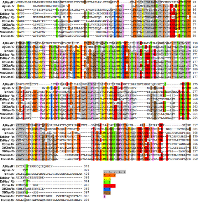 Figure 2—figure supplement 2.