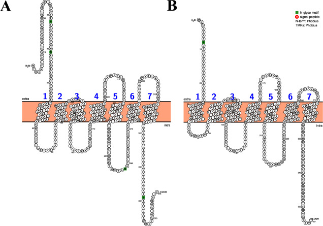 Figure 2—figure supplement 1.