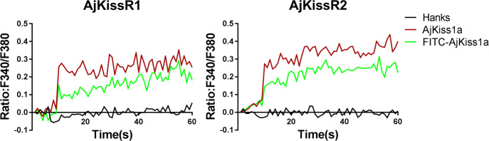 Figure 5—figure supplement 1.