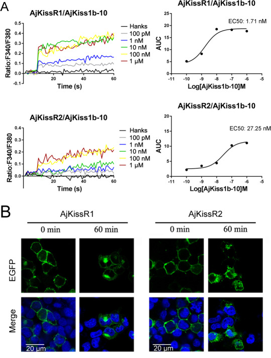 Figure 6—figure supplement 1.