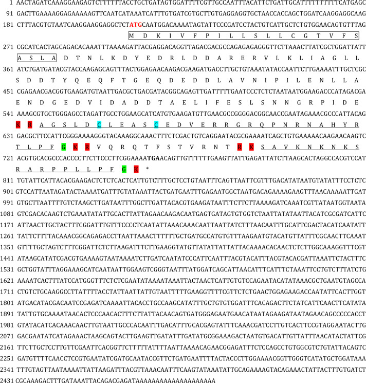 Figure 1—figure supplement 1.