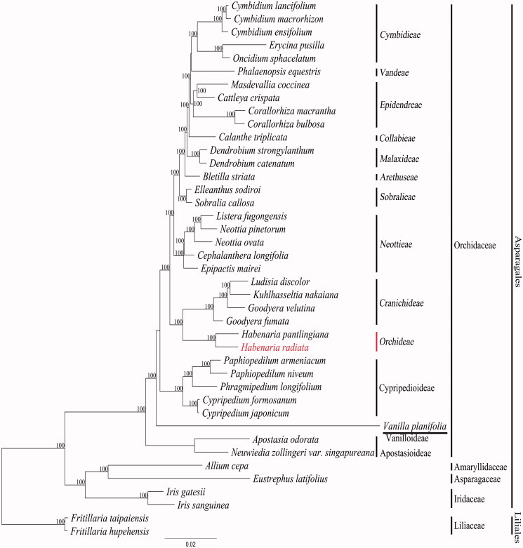 Figure 1.