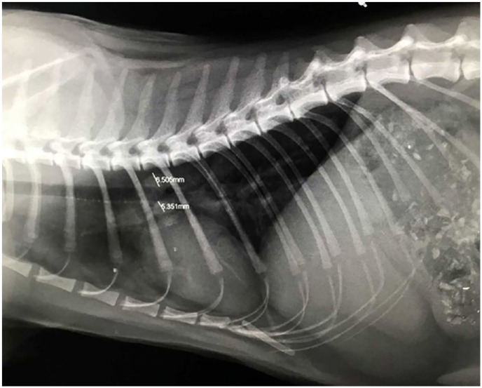 Figure 8