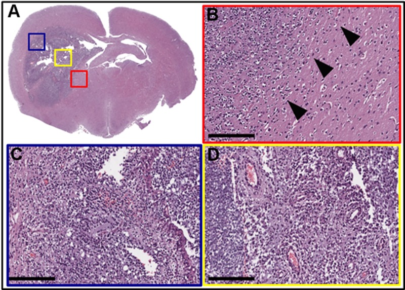 Fig 4