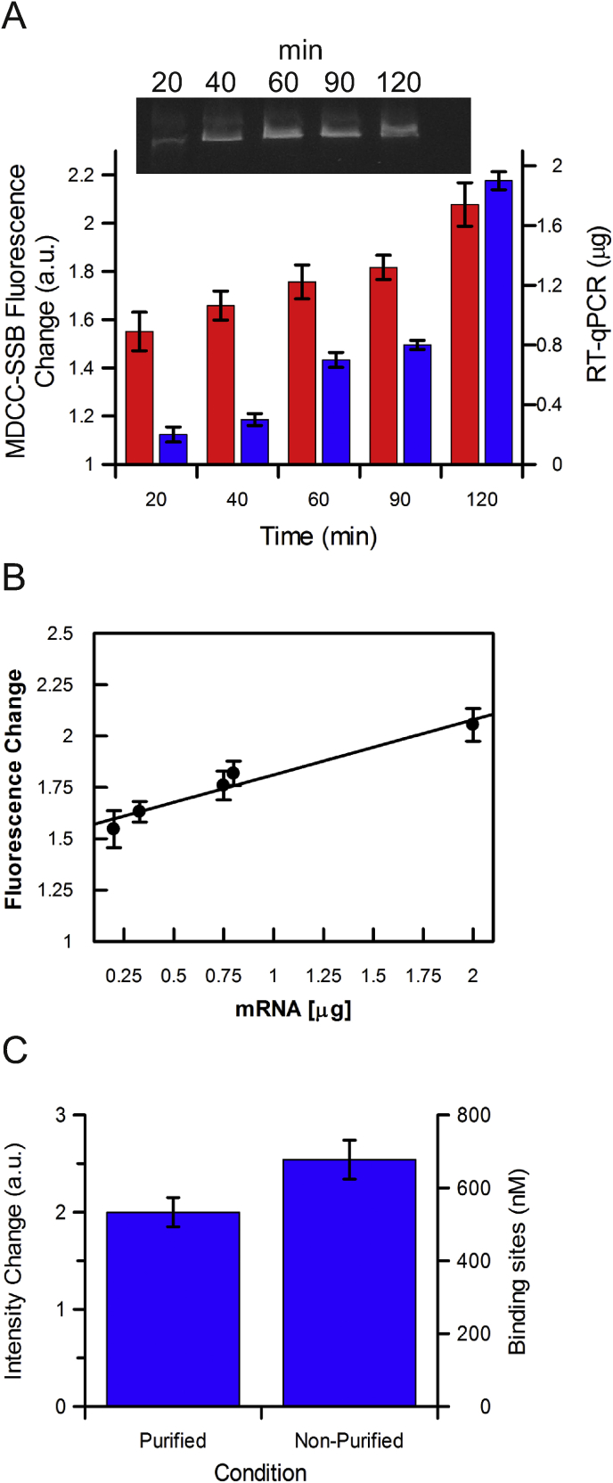 Fig. 3