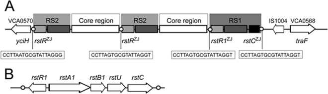 FIG 1