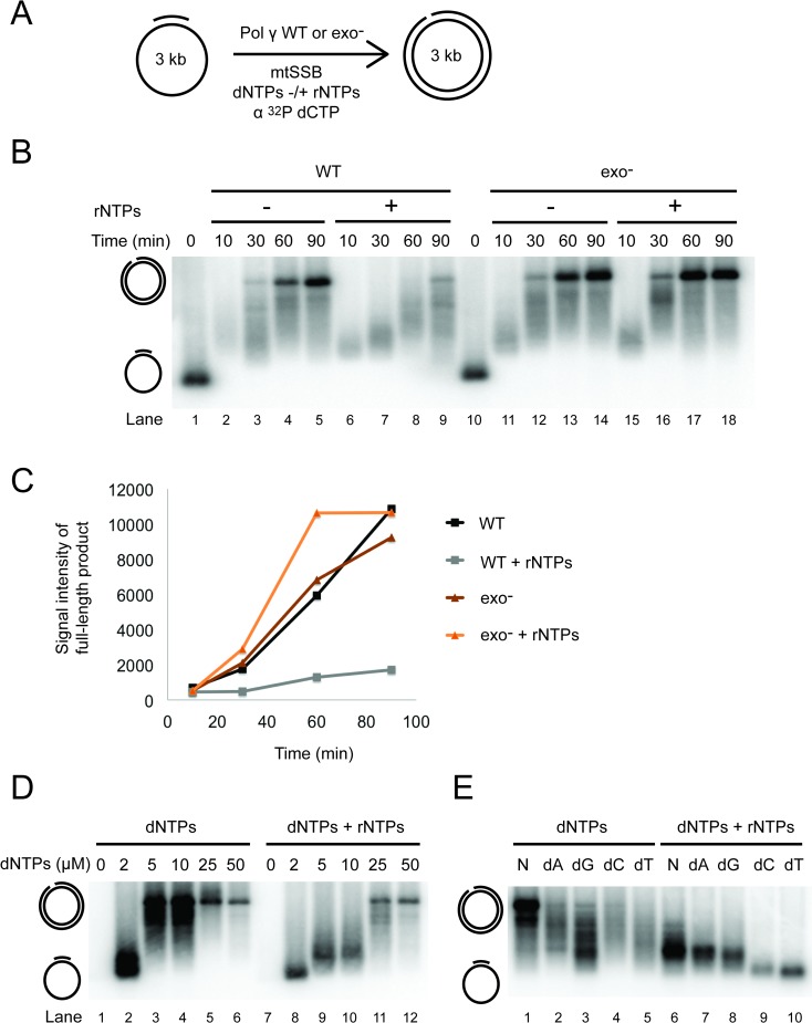 Fig 4