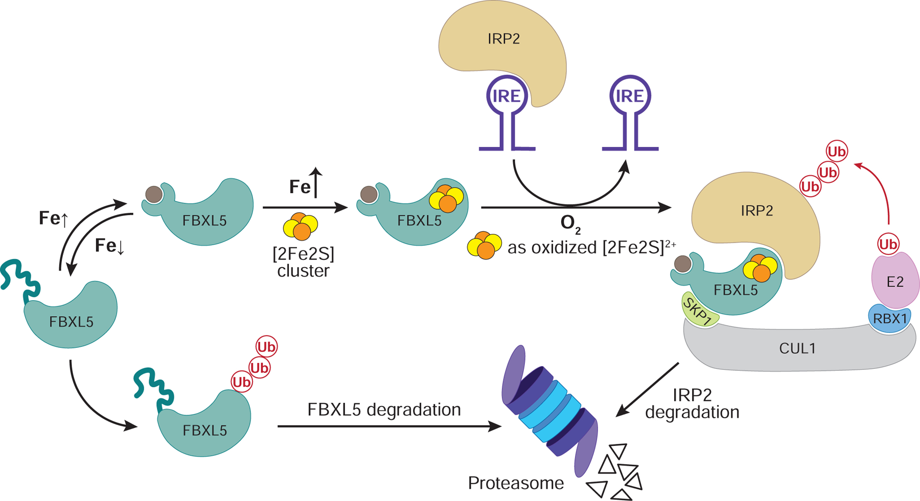 Figure 6.