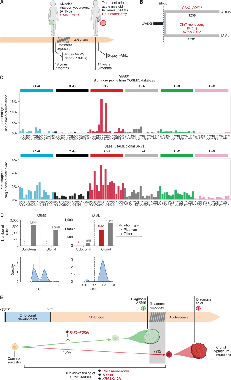 Figure 1. The origin of therapy-related AML of case 1. A, Three and a half years after the development of ARMS, the patient presented with AML. B, The analysis of whole-genome somatic mutations in both tumors revealed their totally independent origin after the separation of the ARMS and blood lineages (in gastrulation). C, Visual comparison of single base substitution signature (SBS) 31 (associated with exposure to platinum-based drugs) and the mutational profile of the tAML reveals common maxima of mutational frequency, suggesting the presence of SBS31 in the tAML. D, A careful reconstruction of the activity of SBS31 (and all other mutational signatures) contributing to the mutational profile of the ARMS and tAML yields estimates of the activity of both. SBS31 is active in the clonal mutations of the tAML, whereas it is absent from the mutations of the ARMS. E, Schematic representation of the evolution of the two tumors of case 1.