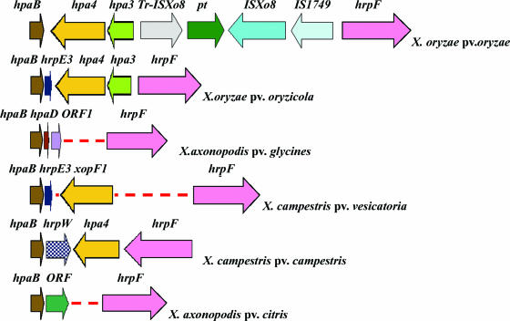 FIG. 2.