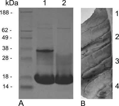 FIG. 7.