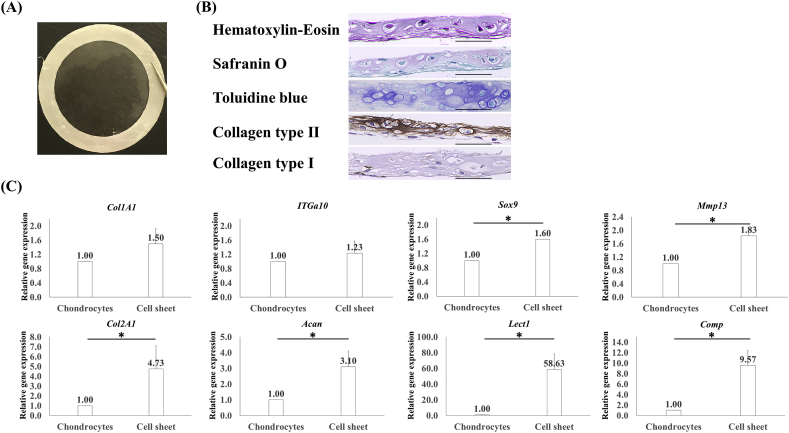 Fig. 2