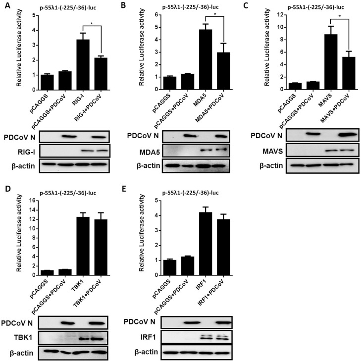 Fig. 4