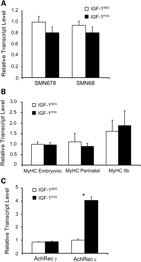 Figure 2.