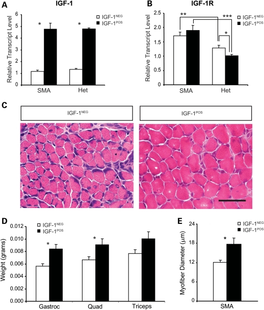 Figure 1.