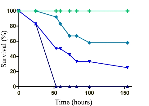 FIG 1 