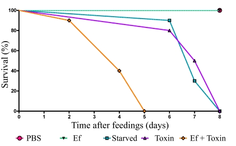 FIG 2 