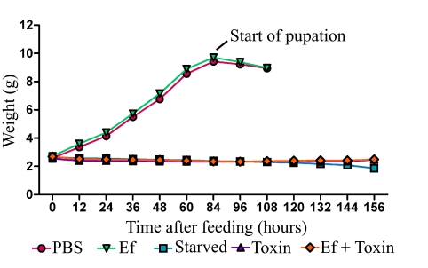 FIG 3 