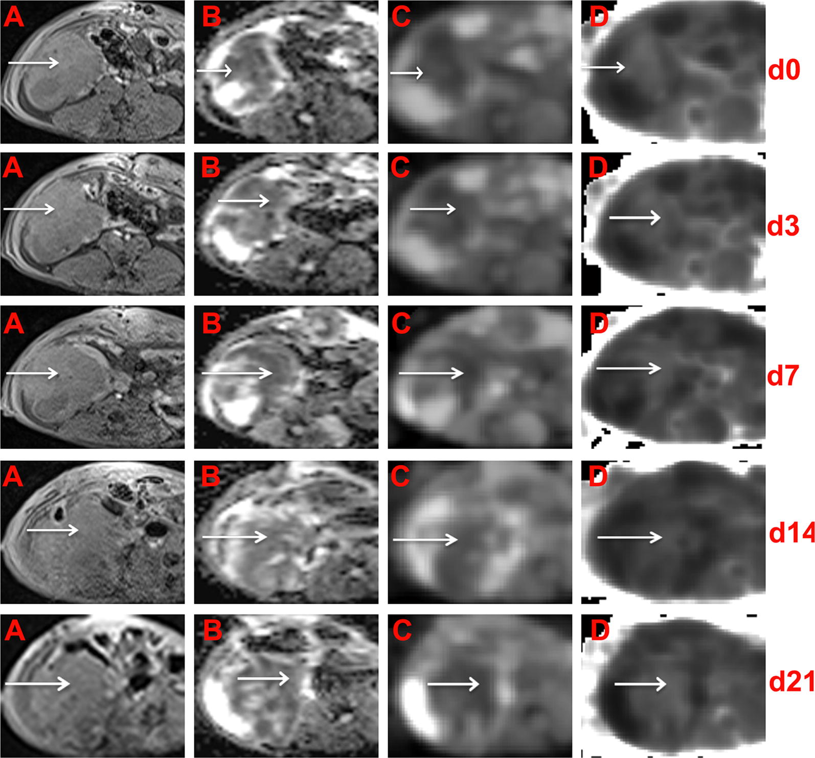 Fig. 5