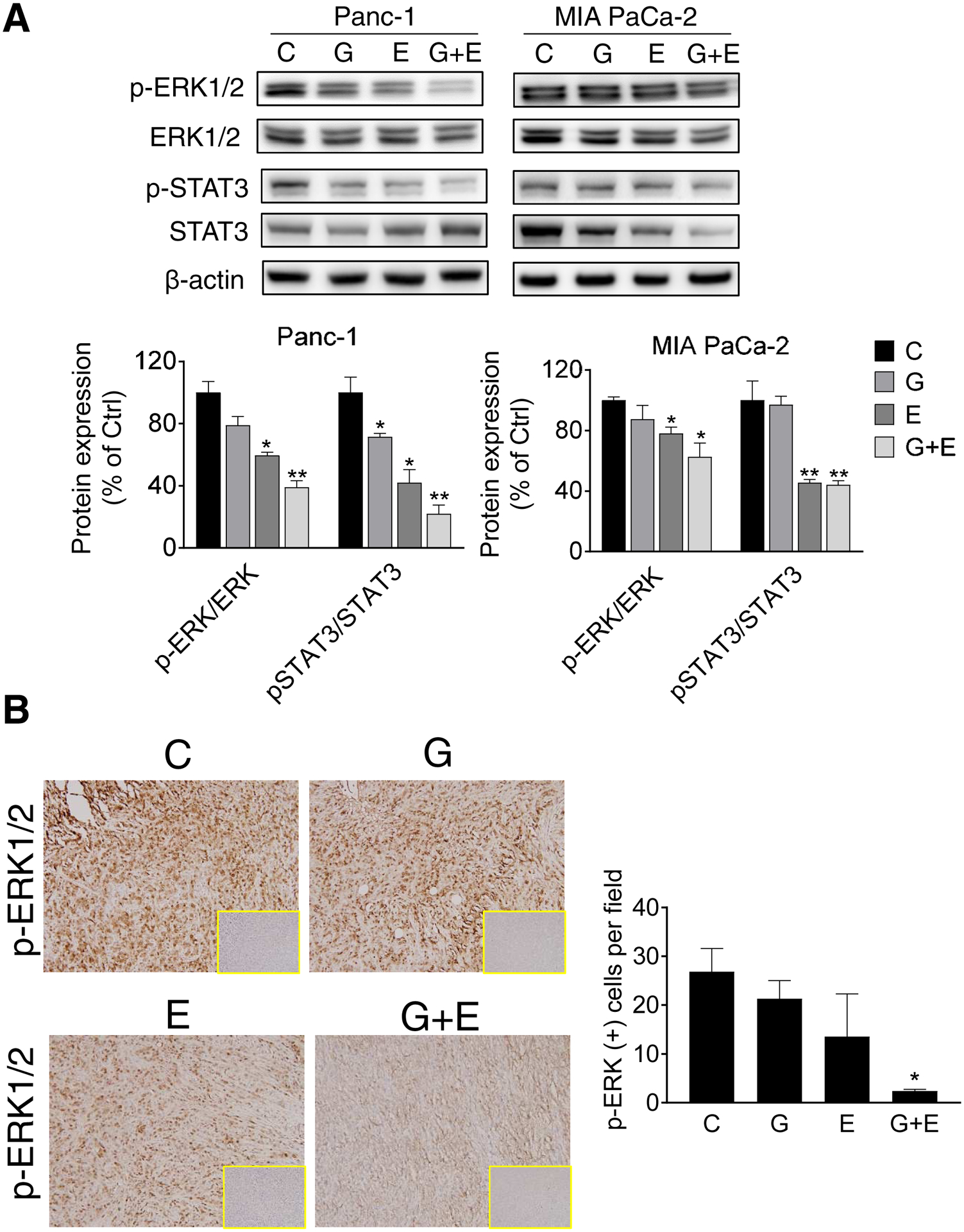 Figure 6: