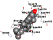 graphic file with name TBSD_A_1852117_ILG0041_C.gif