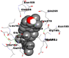 graphic file with name TBSD_A_1852117_ILG0065_C.gif