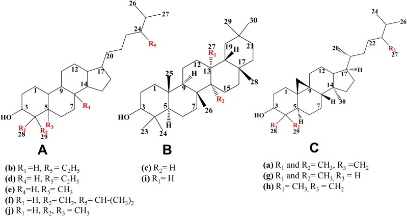 Figure 2.