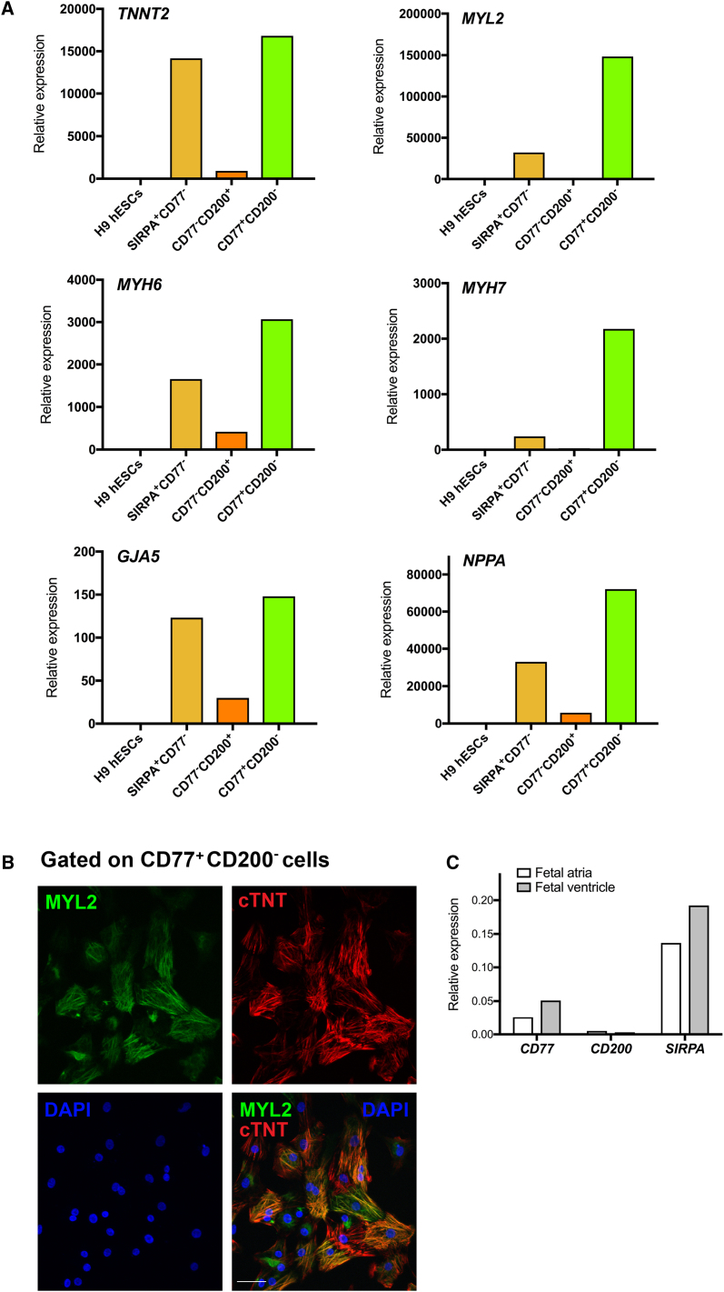 Figure 6