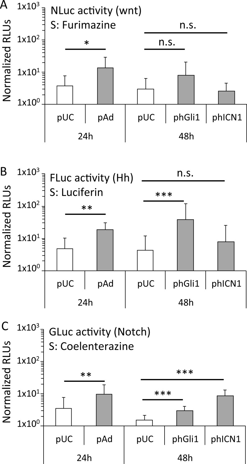 Fig 5