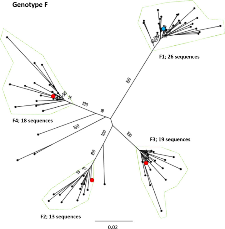 Fig. 8.