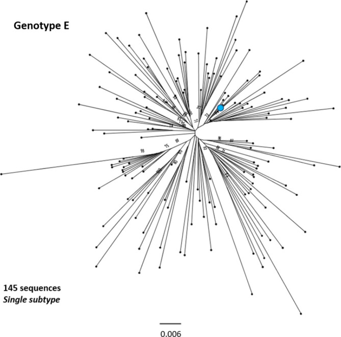 Fig. 7.