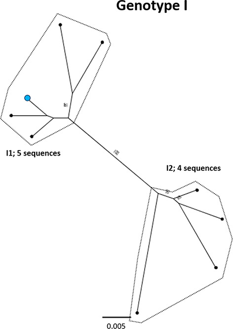 Fig. 10.