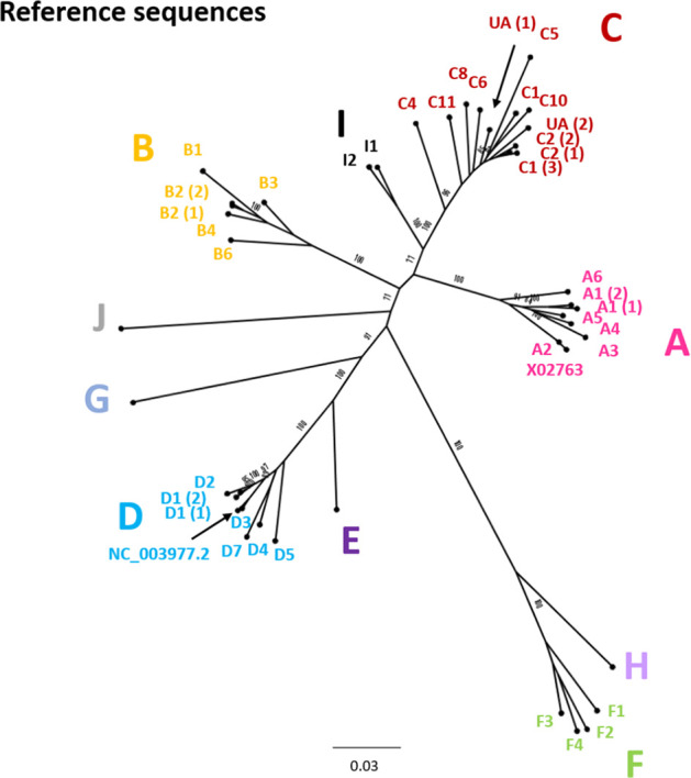 Fig. 11.